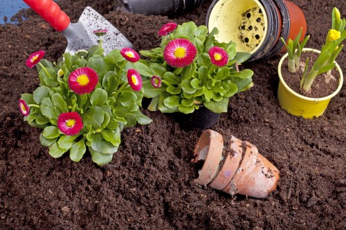 Illustration of a cookie policy for Gardeners St Helier