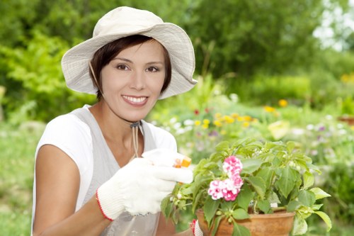 Visual about cookie use and browser settings for garden services