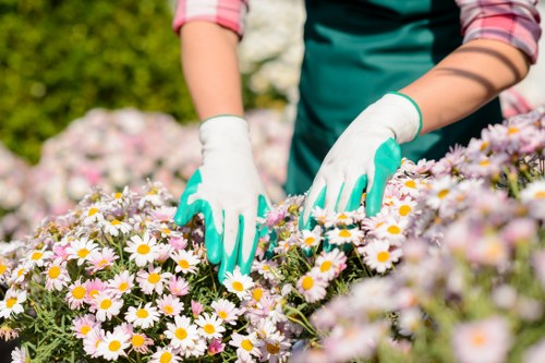Safe and insured garden care service in St Helier
