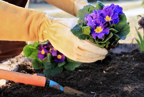 Image representing responsible and ethical garden service practices