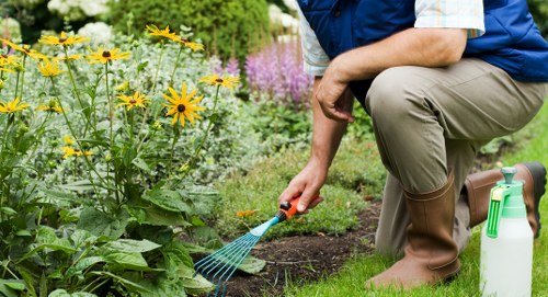 About us gardeners St Helier providing thoughtful landscape care