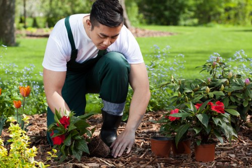 Resolved gardening complaint process with clear follow-up steps