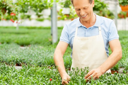 Coastal garden maintenance in St Helier with seasonal plant care