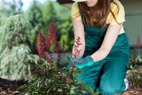 Transparent Gardeners St Helier estimates for local garden work