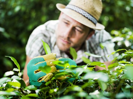 Keyboard navigation and accessible layout for garden services pages