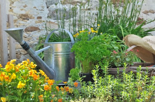 Professional garden maintenance in St Helier with lawn care and trimming