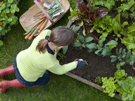 Hard landscaping features suited to St Helier coastal conditions