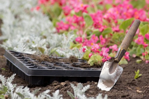 Professional garden maintenance in St Helier for healthy shrubs and lawns