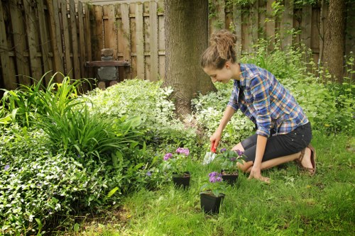 Regular garden maintenance in St Helier for neat outdoor spaces
