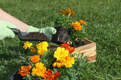 Image depicting awareness of modern slavery risks in gardening supply chains