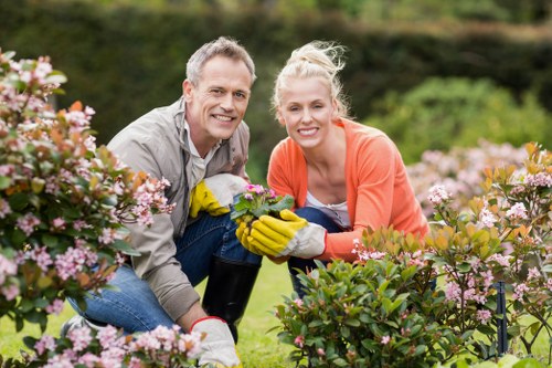 Coastal planting choices for landscape gardening in St Helier