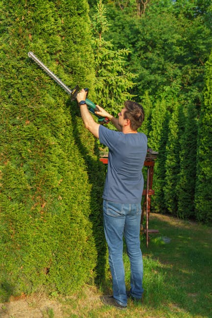 A neatly trimmed green hedge running along the edge of a paved sidewalk in a residential area. The hedge has dense, vibrant foliage with a uniform, rounded shape, indicative of recent hedge trimming b