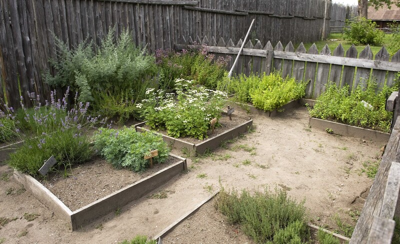 Garden outdoor space